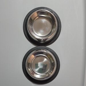 Stainless Steel Pet Bowls with Black Trim